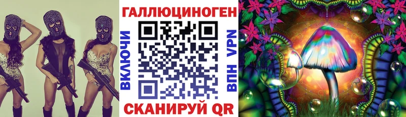 Псилоцибиновые грибы мицелий Нязепетровск